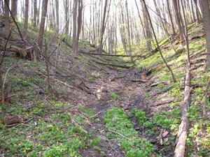 IMG_0403.jpg