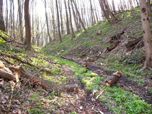 IMG_0404.jpg