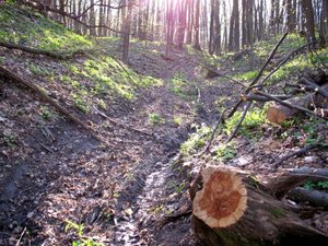 IMG_0405.jpg