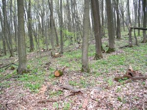 IMG_0407.jpg