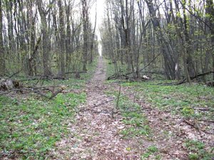 IMG_0408.jpg