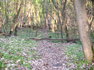 IMG_0410.jpg
