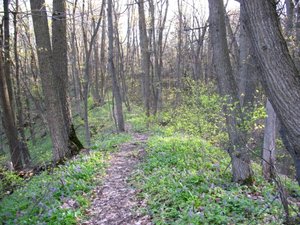 IMG_0412.jpg