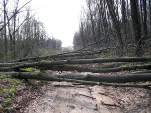 Изображение 109.jpg
