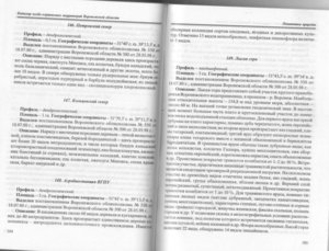 Кадастр ООПТ - Лысая гора
