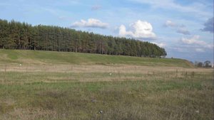 SDC11459.JPG