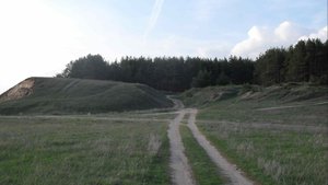 SDC11462.JPG