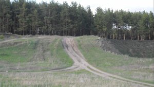SDC11463.JPG