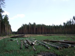 DSC05605.JPG