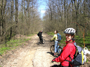 IMG_3393.jpg