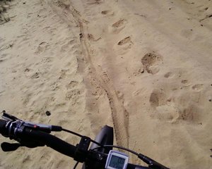 В песках.