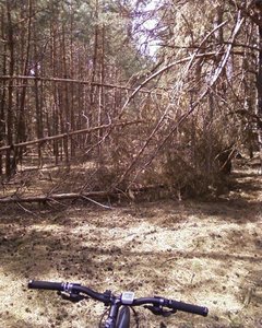 В окрестностях оз.Погоново