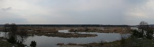 pan1.jpg