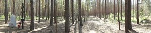 DSC00093.JPG