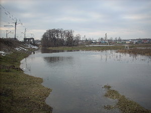 Маааааленькая лужа у жд моста через Усманку