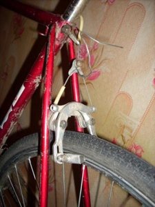 DSCN0081.JPG
