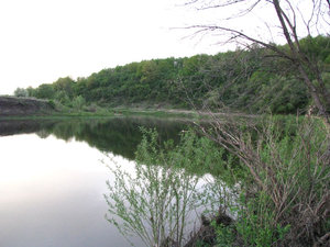 IMG_3565.jpg