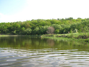 утренняя свежесть