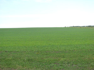 IMG_3587.jpg