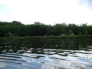 IMG_3592.jpg