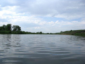 IMG_3594.jpg