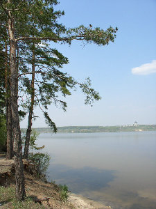 P5070017.jpg