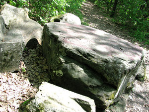 IMG_3621.jpg
