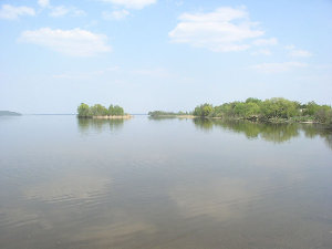 P5070025.jpg