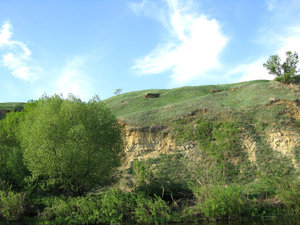 IMG_3661.jpg