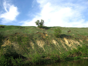 IMG_3662.jpg