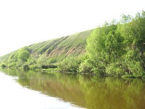 IMG_3663.jpg