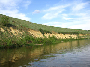 IMG_3665.jpg