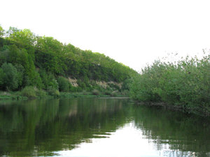 IMG_3678.jpg