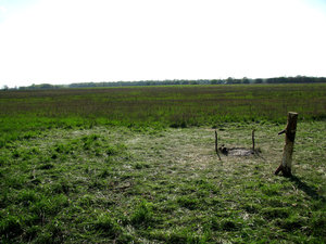 IMG_3479.jpg