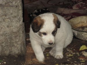 IMG_0324.JPG