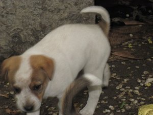 IMG_0325.JPG