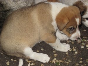 IMG_0337.JPG