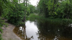 SDC11545.JPG