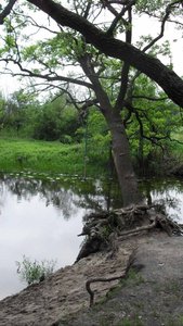 SDC11546.JPG