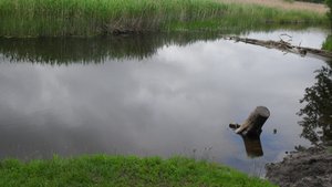 SDC11550.JPG