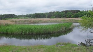 SDC11552.JPG
