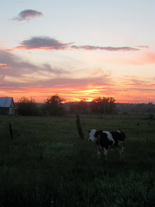 IMG_56131.jpg