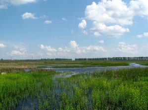 IMG_0057-1.JPG