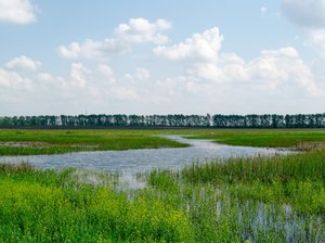 IMG_0059-1.JPG