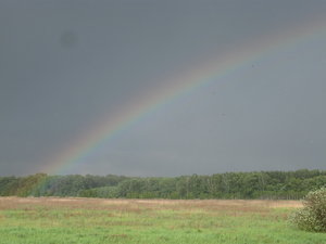 IMG_5666.jpg