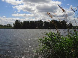 DSC00236.JPG