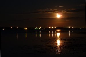 P1010096.JPG