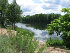 IMG_8832.jpg