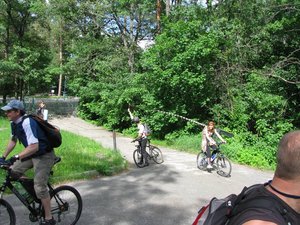 IMG_8878.jpg