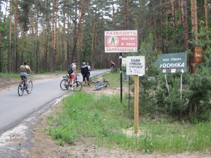 а теперь сбор грибов :)